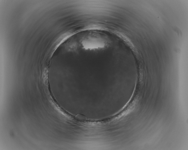 X0000112001369200908031220