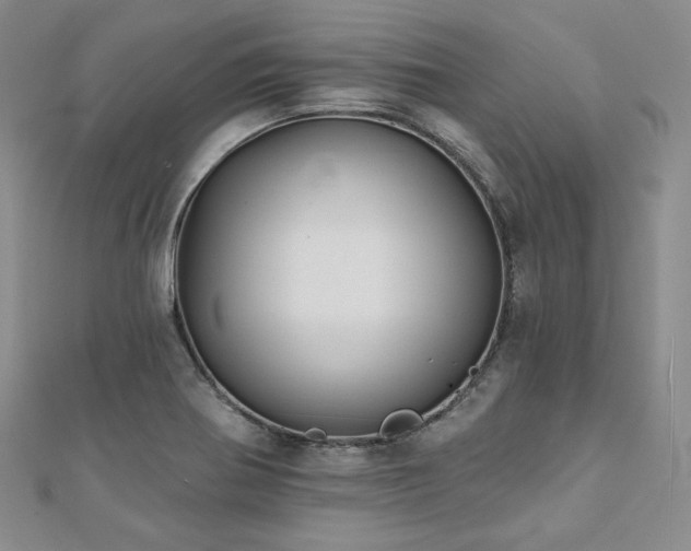 X0000112001370200908031220