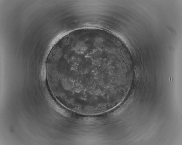 X0000112001371200908031220