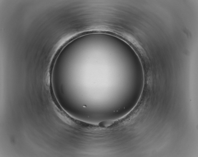 X0000112001372200908031220