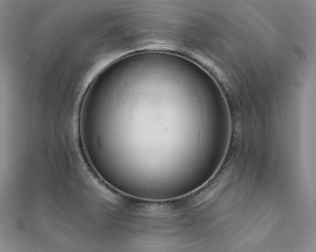 X0000112001375200908031220