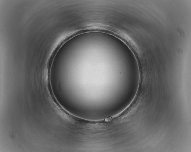 X0000112001376200908031220