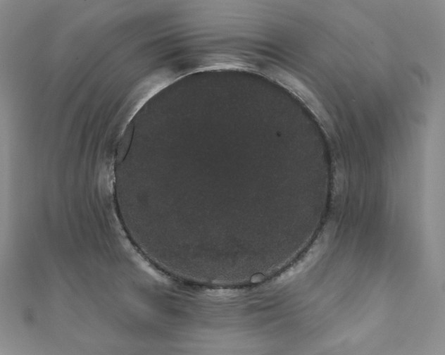 X0000112001377200908031220