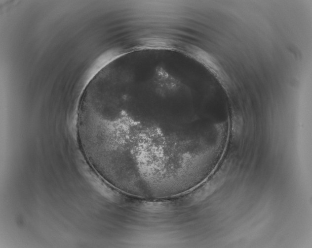 X0000112001378200908031220