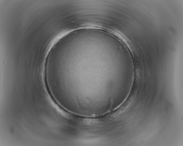 X0000112001379200908031220
