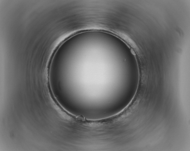 X0000112001380200908031220