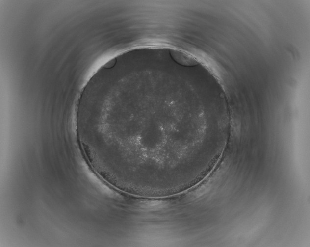X0000112001382200908031220