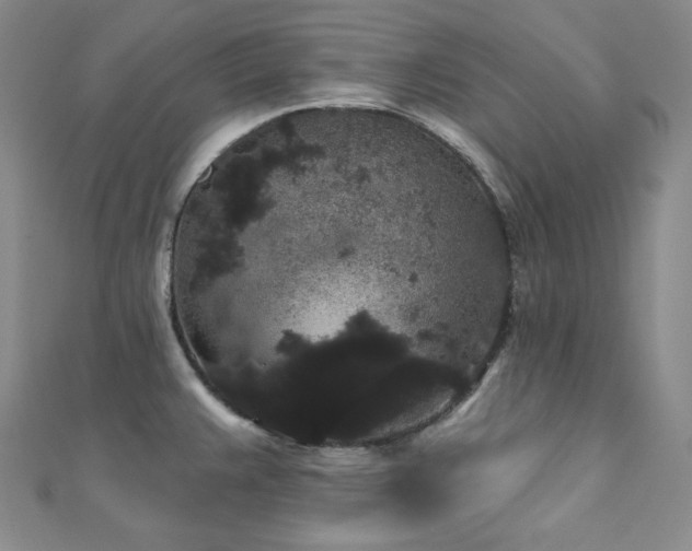 X0000112001383200908031220