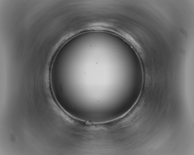 X0000112001384200908031220