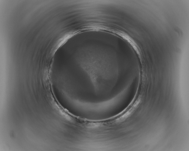 X0000112001385200908031220