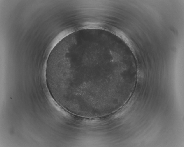 X0000112001386200908031220