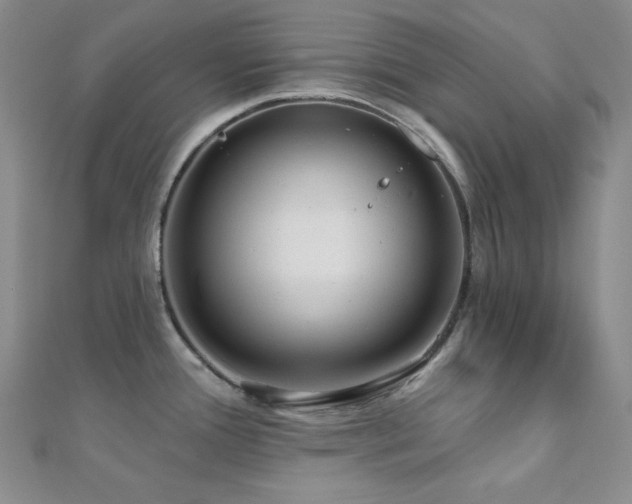 X0000112001388200908031220