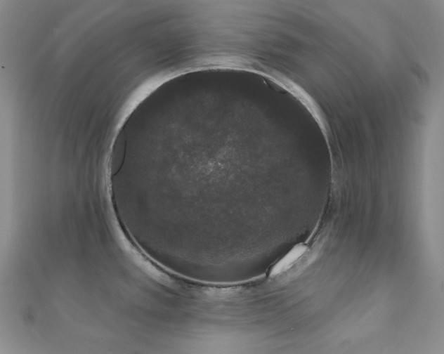 X0000112001389200908031220