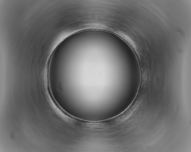 X0000112001391200908031219