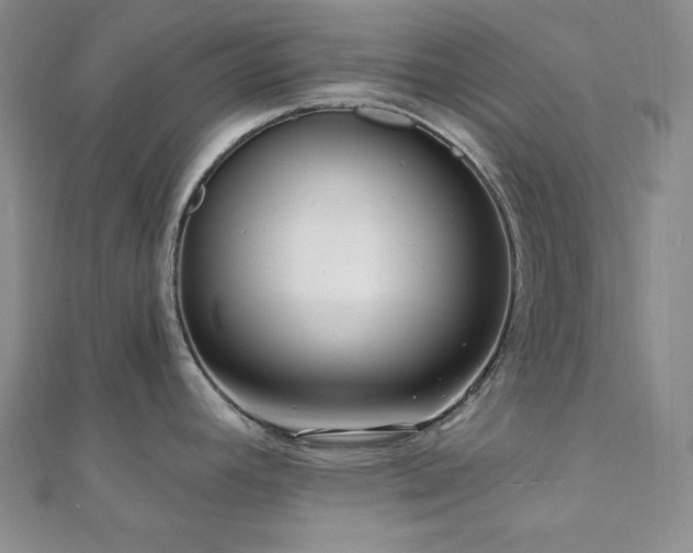 X0000112001392200908031219