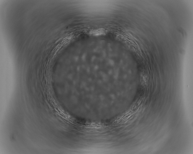 X0000112001393200908031219