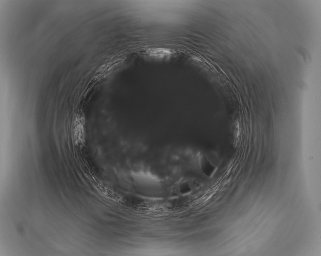 X0000112001394200908031219