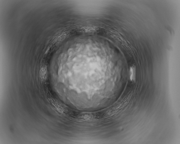 X0000112001395200908031219