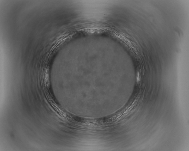 X0000112001396200908031219