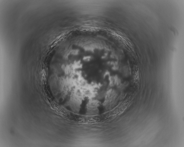 X0000112001397200908031219