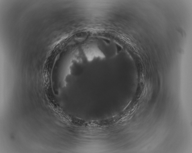 X0000112001398200908031219