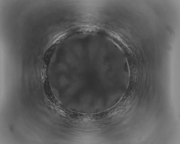 X0000112001399200908031219