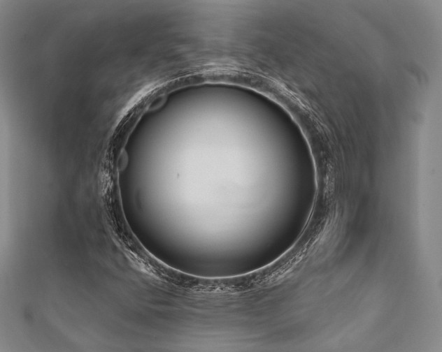 X0000112001400200908031219