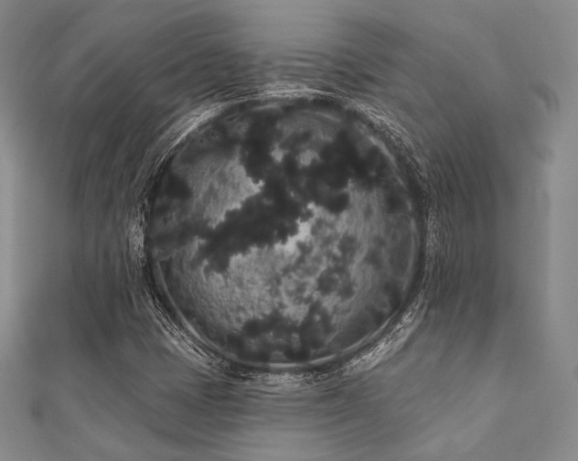 X0000112001401200908031219