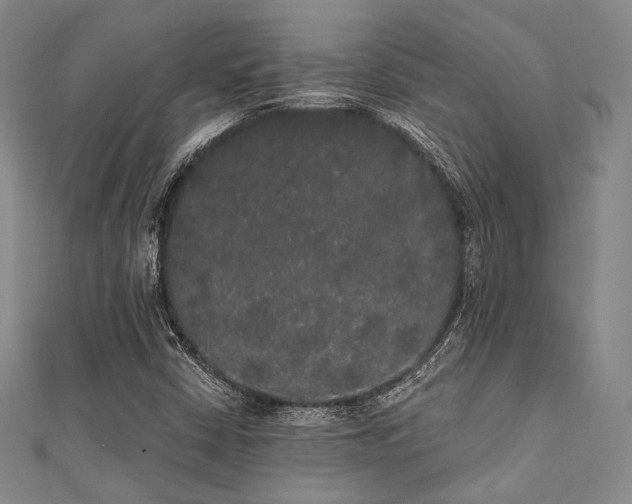 X0000112001402200908031219