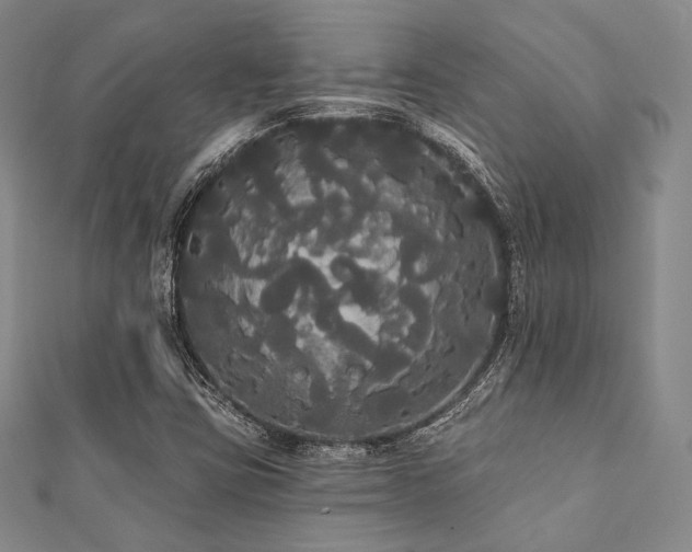 X0000112001403200908031219