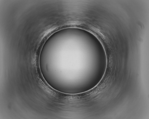 X0000112001404200908031219
