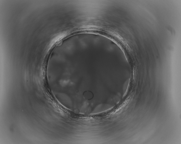X0000112001405200908031219