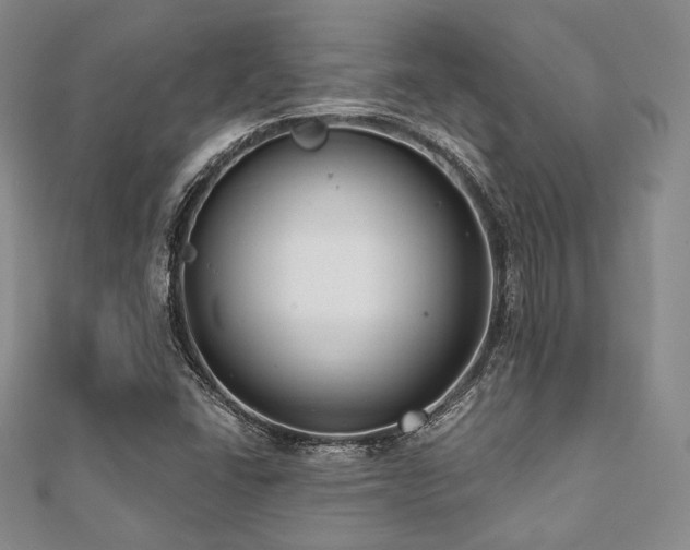 X0000112001406200908031219