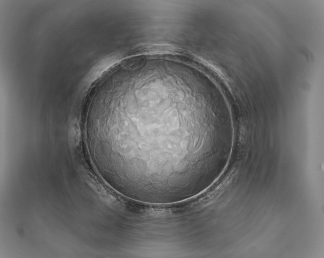 X0000112001407200908031219