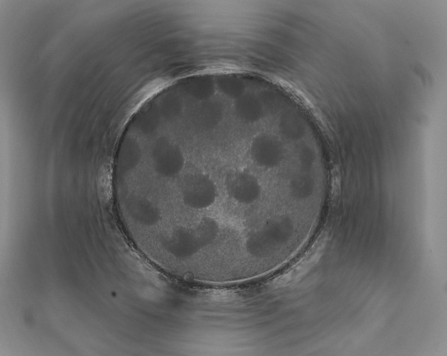 X0000112001409200908031219