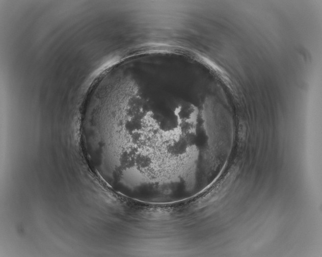 X0000112001411200908031219