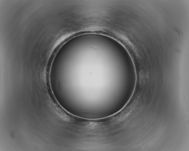 X0000112001412200908031219