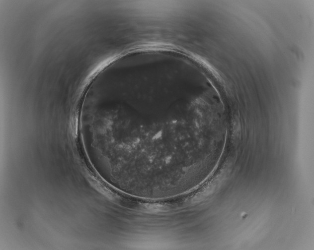 X0000112001413200908031219