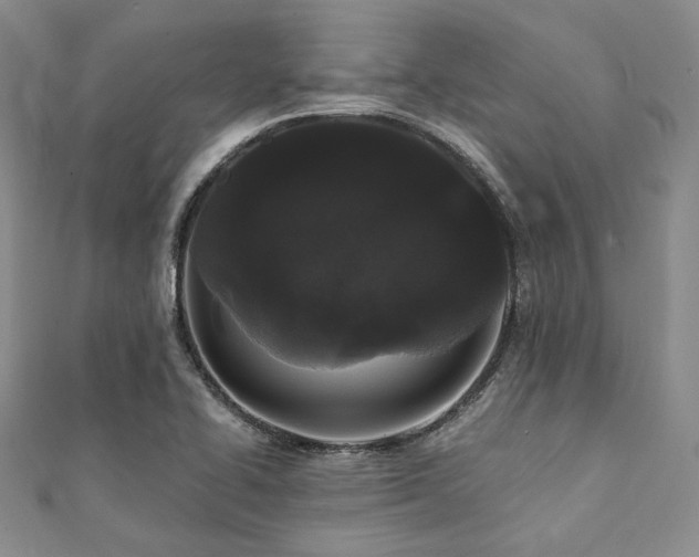 X0000112001414200908031219