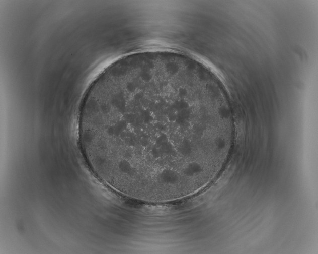 X0000112001415200908031219