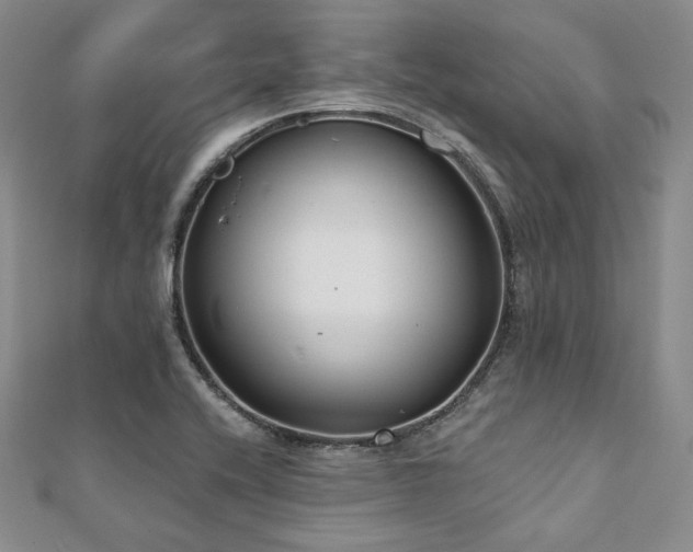 X0000112001416200908031219