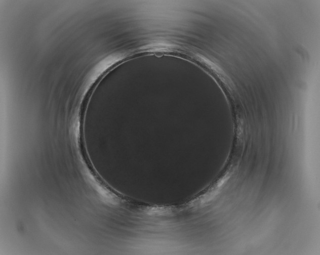 X0000112001418200908031219