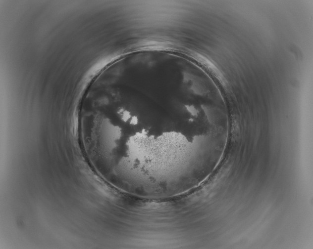 X0000112001419200908031219
