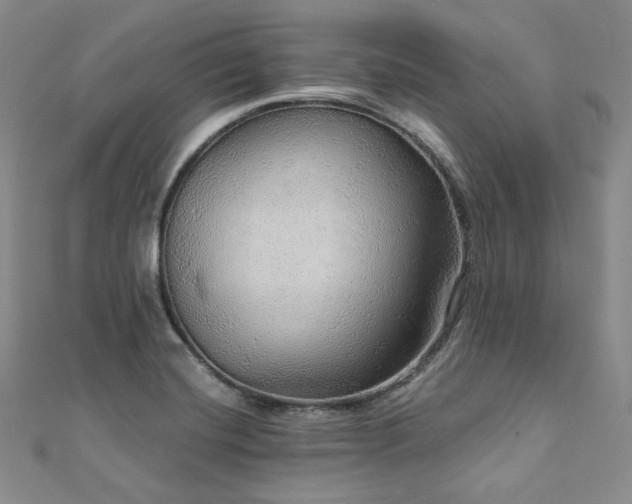 X0000112001420200908031219