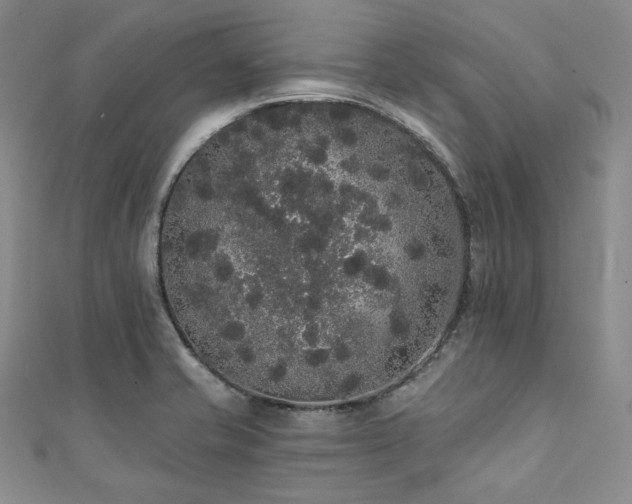 X0000112001421200908031219