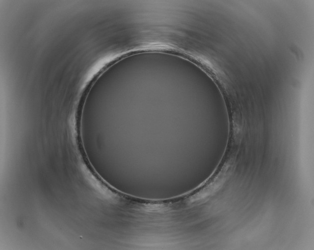 X0000112001422200908031219