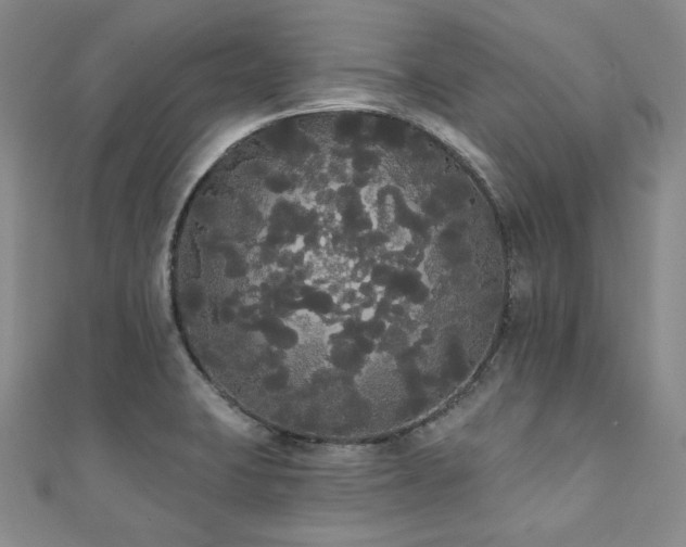 X0000112001423200908031219