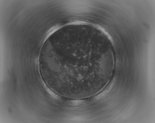 X0000112001425200908031219