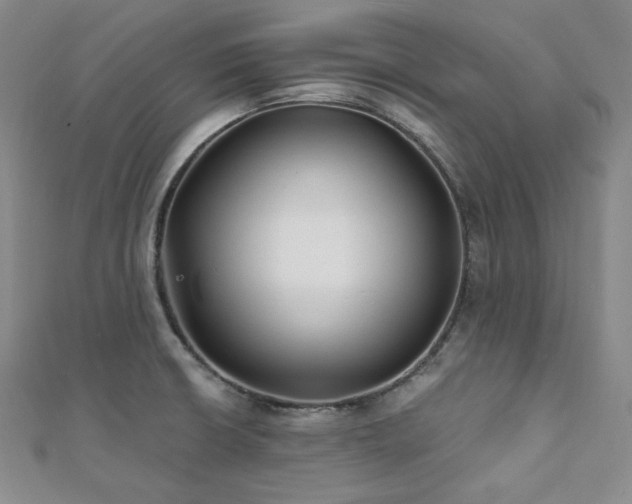 X0000112001426200908031219