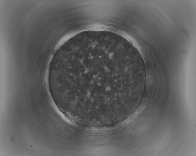 X0000112001429200908031219